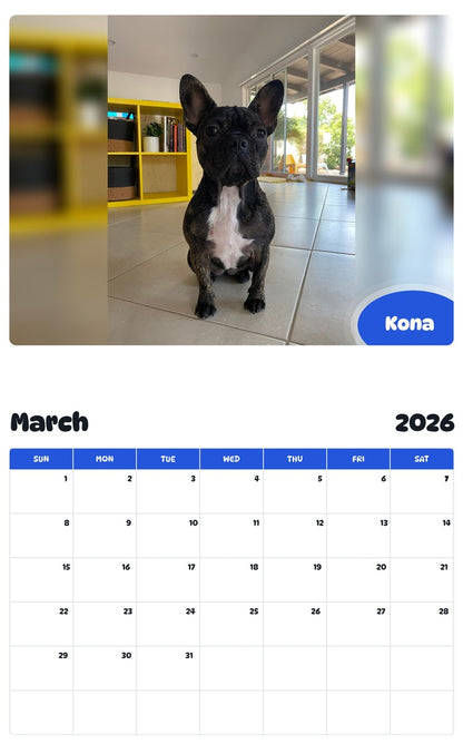 November 2025 - October 2026 Kona - Pawidols Pet Calendar