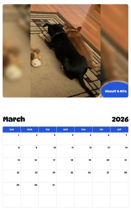November 2025 - October 2026 Biscuit & Rita - Pawidols Pet Calendar