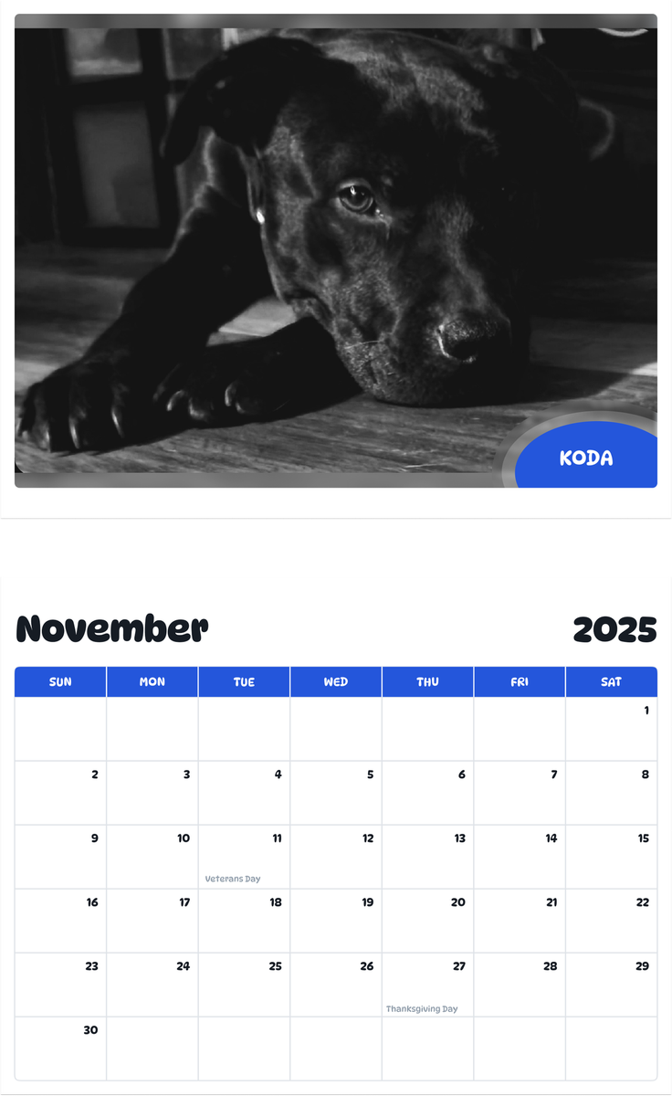 July 2025 - June 2026 Koda - Pawidols Pet Calendar