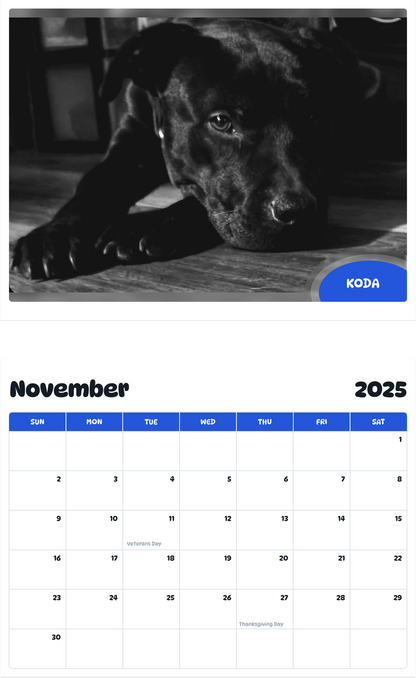 July 2025 - June 2026 Koda - Pawidols Pet Calendar