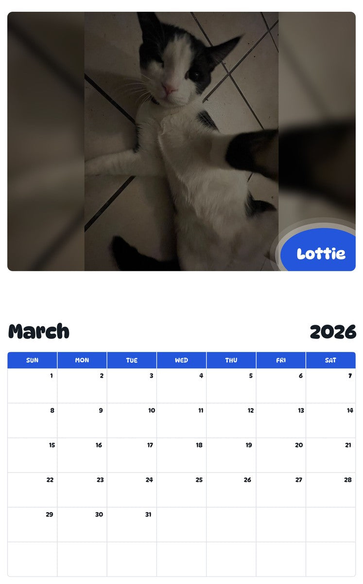 November 2025 - October 2026 Lottie - Pawidols Pet Calendar