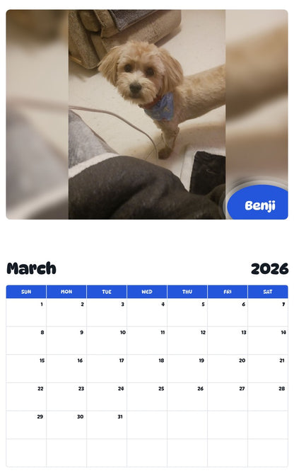 November 2025 - October 2026 Benji - Pawidols Pet Calendar