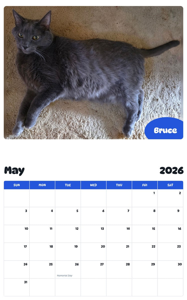 2026 - 2027 Bruce - Pawidols Pet Calendar