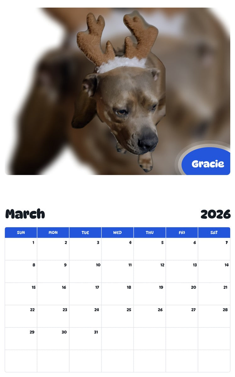 November 2025 - October 2026 Gracie - Pawidols Pet Calendar