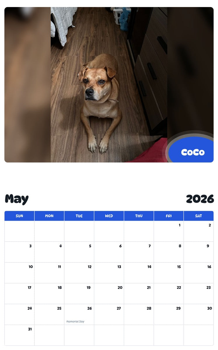 2026 - 2027 CoCo - Pawidols Pet Calendar
