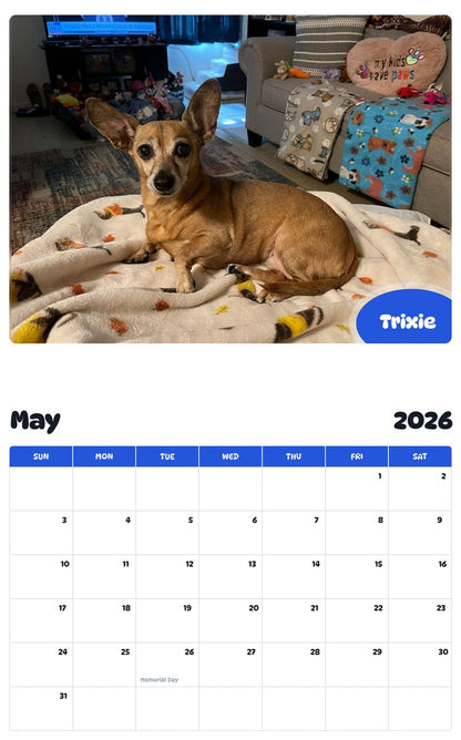 2026 - 2027 Trixie - Pawidols Pet Calendar