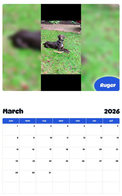 November 2025 - October 2026 Ruger - Pawidols Pet Calendar