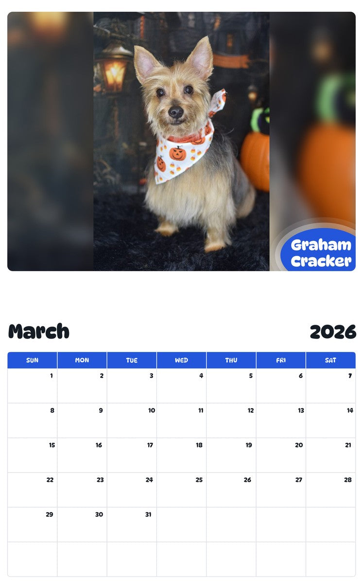 November 2025 - October 2026 Graham Cracker - Pawidols Pet Calendar