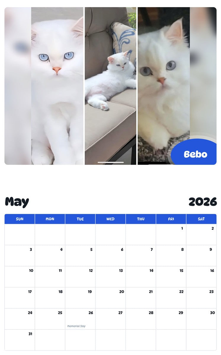 2026 - 2027 Bebo - Pawidols Pet Calendar