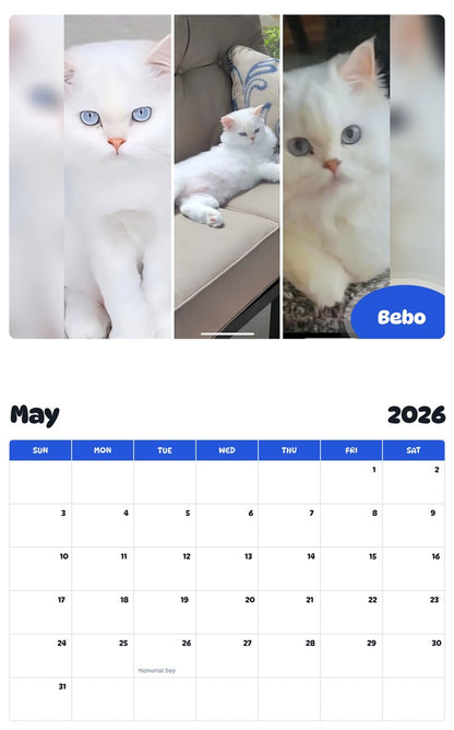 2026 - 2027 Bebo - Pawidols Pet Calendar