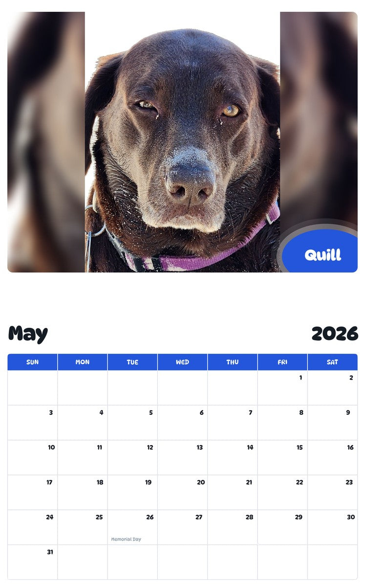 2026 - 2027 Quill - Pawidols Pet Calendar