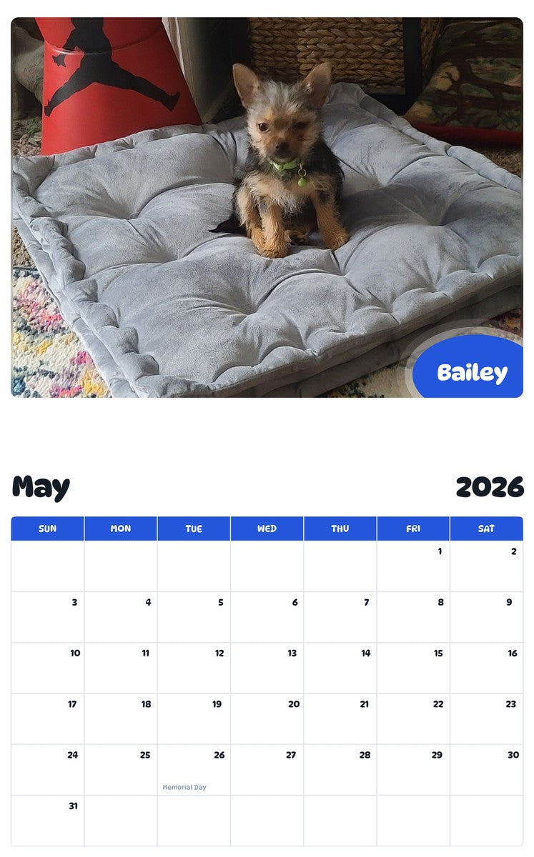 2026 - 2027 Bailey - Pawidols Pet Calendar