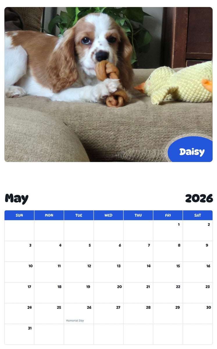 2026 - 2027 Daisy - Pawidols Pet Calendar