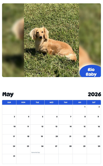 2026 - 2027 Rio Baby - Pawidols Pet Calendar