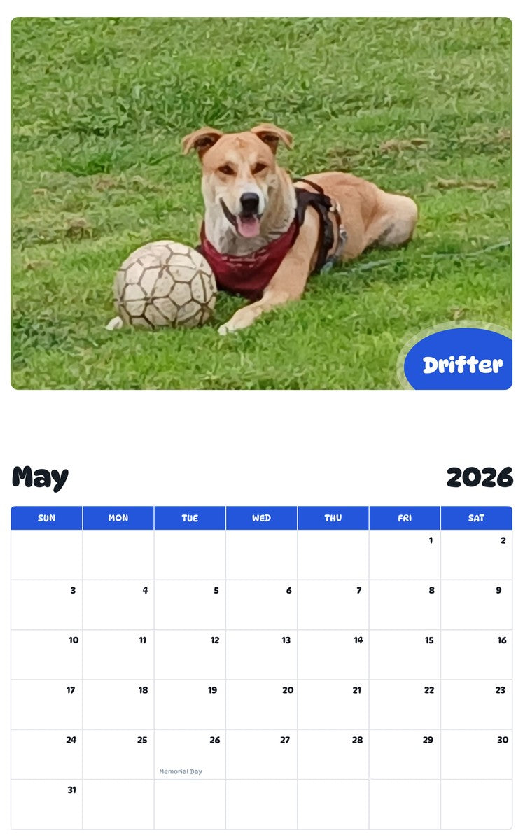 2026 - 2027 Drifter - Pawidols Pet Calendar