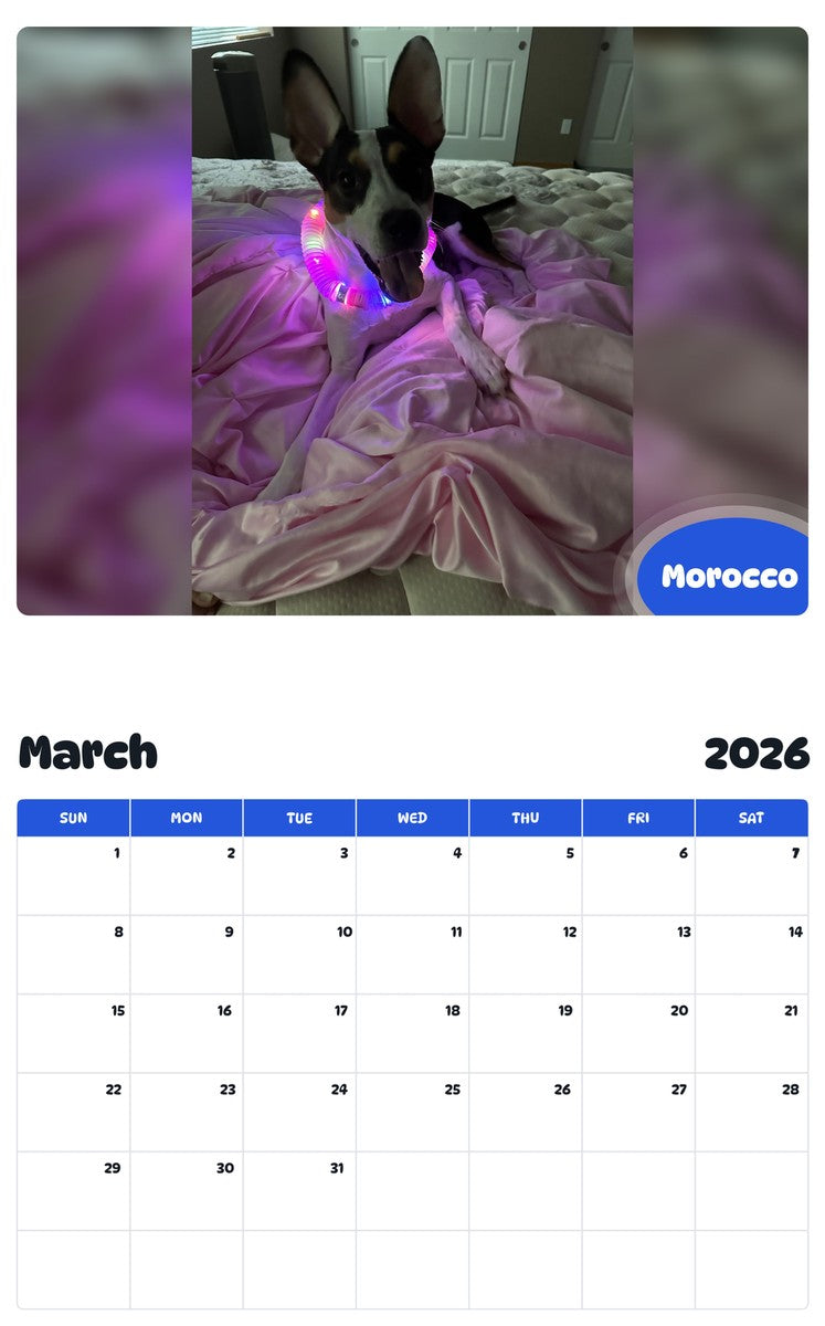 November 2025 - October 2026 Morocco - Pawidols Pet Calendar