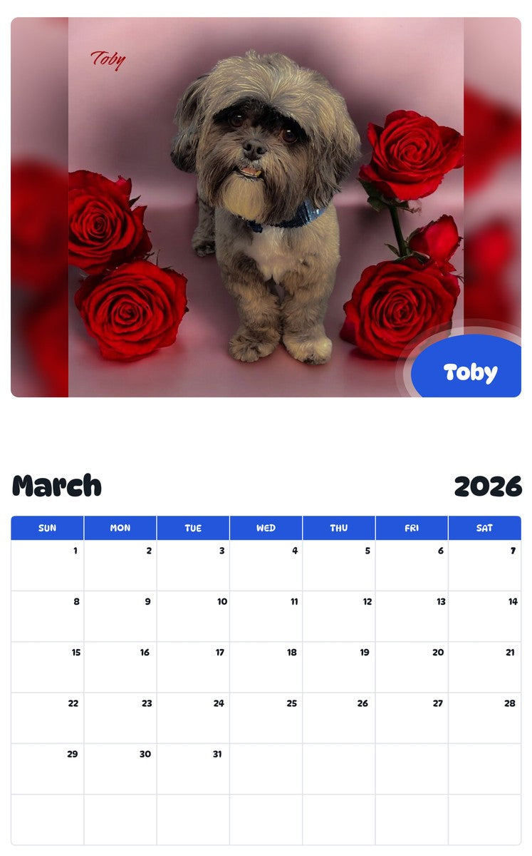November 2025 - October 2026 Toby - Pawidols Pet Calendar