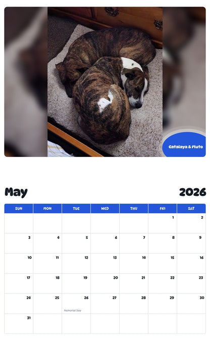 2026 - 2027 Catalaya & Pluto - Pawidols Pet Calendar