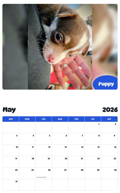 2026 - 2027 Puppy - Pawidols Pet Calendar