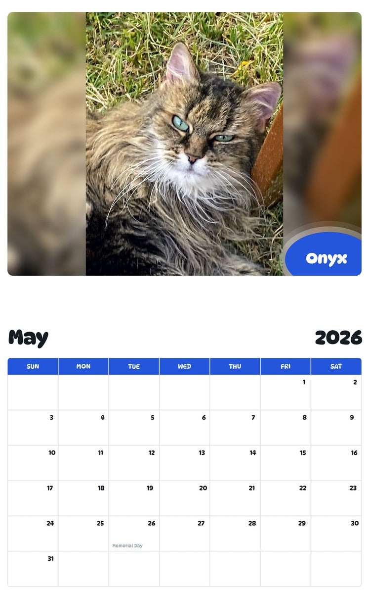 2026 - 2027 Onyx - Pawidols Pet Calendar