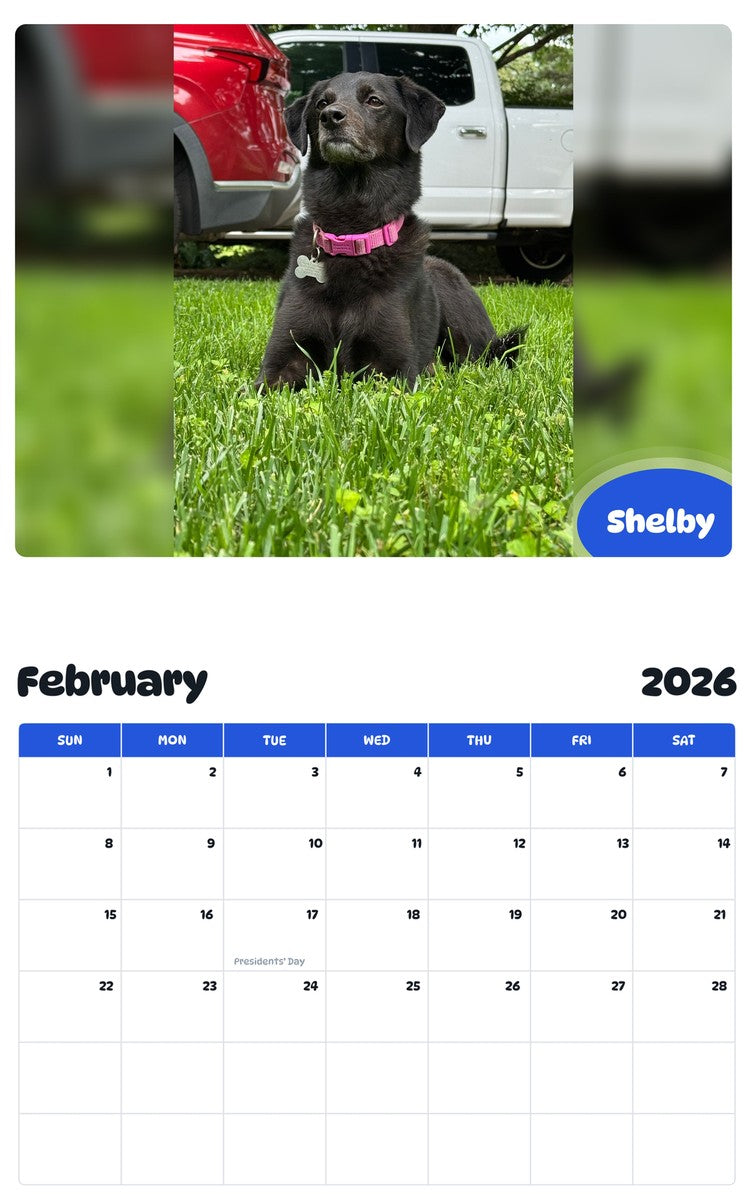 November 2025 - October 2026 Shelby - Pawidols Pet Calendar