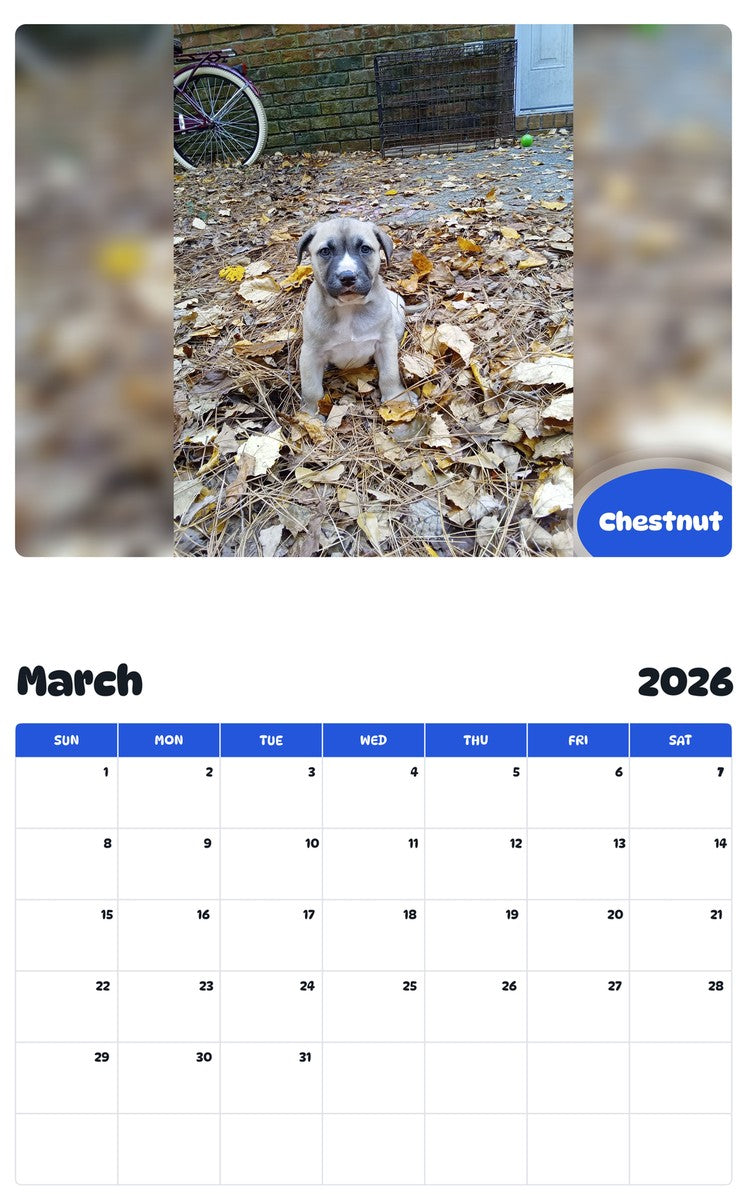November 2025 - October 2026 Chestnut - Pawidols Pet Calendar