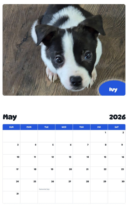 2026 - 2027 Ivy - Pawidols Pet Calendar