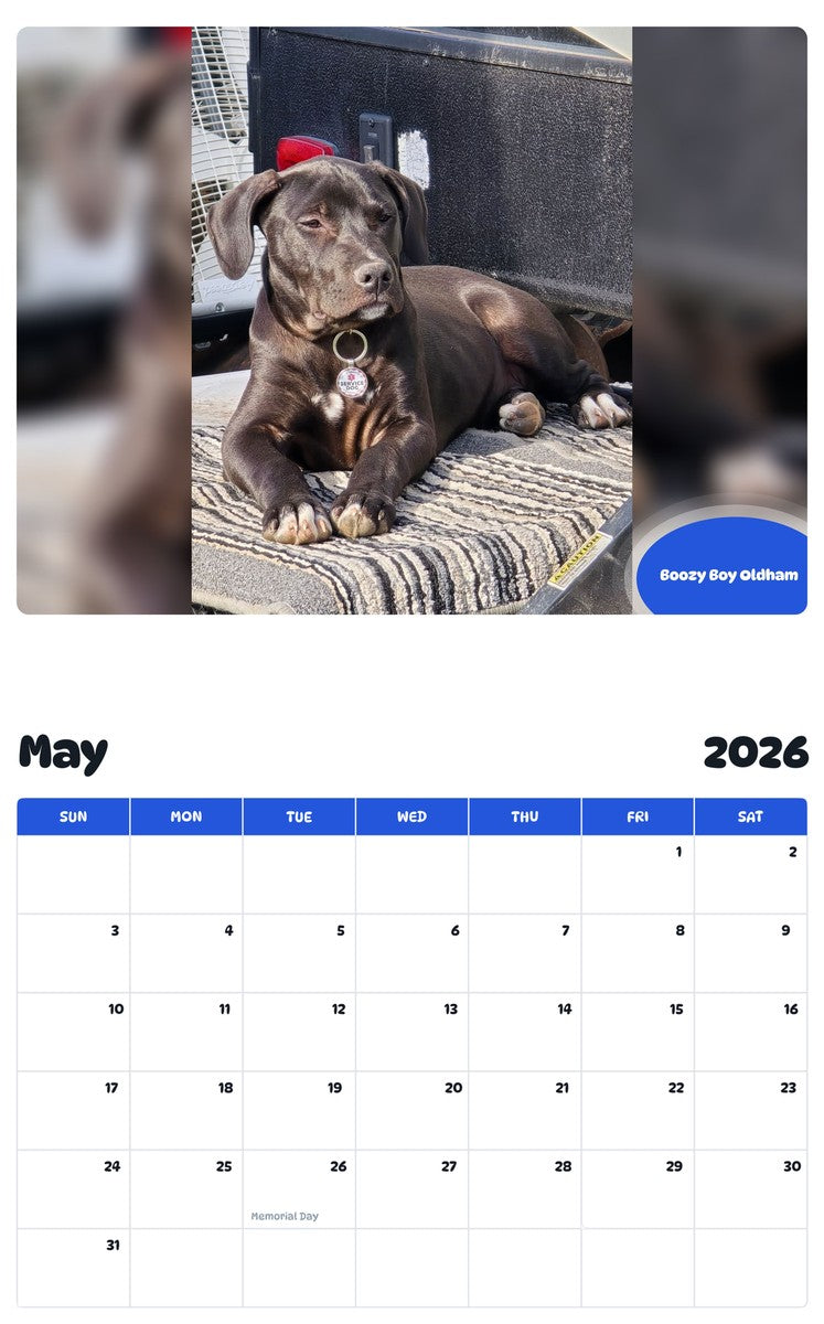 2026 - 2027 Boozy Boy Oldham - Pawidols Pet Calendar