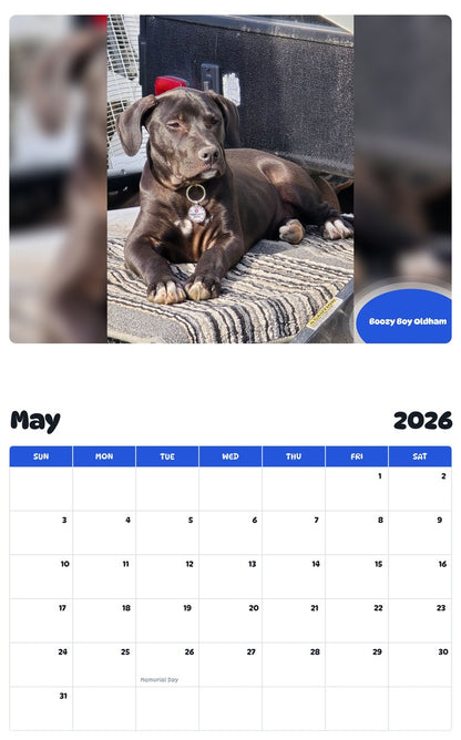 2026 - 2027 Boozy Boy Oldham - Pawidols Pet Calendar