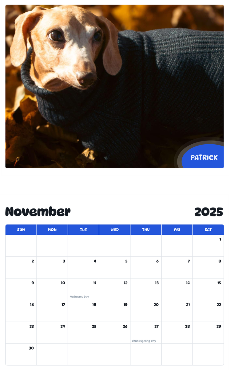 July 2025 - June 2026 Patrick - Pawidols Pet Calendar