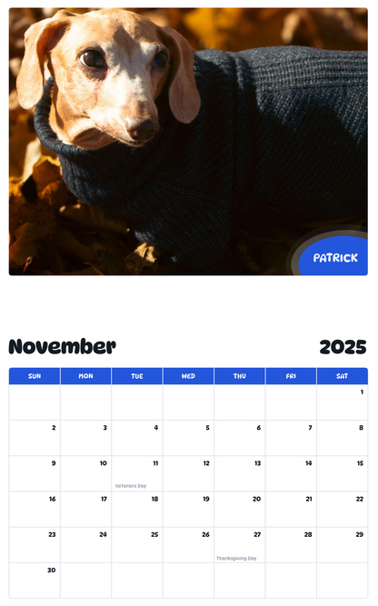 July 2025 - June 2026 Patrick - Pawidols Pet Calendar