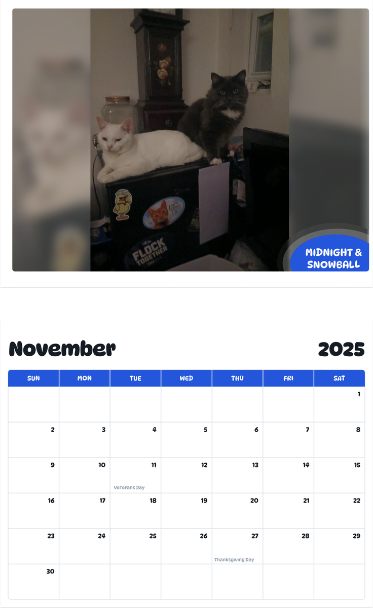 July 2025 - June 2026 Midnight & Snowball - Pawidols Pet Calendar