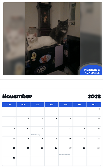 July 2025 - June 2026 Midnight & Snowball - Pawidols Pet Calendar