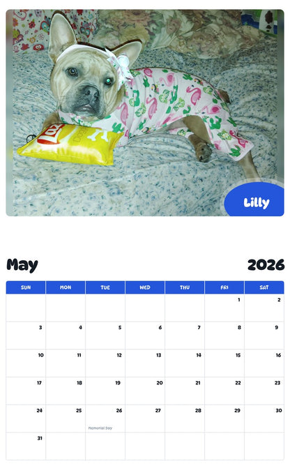 2026 - 2027 Lilly - Pawidols Pet Calendar