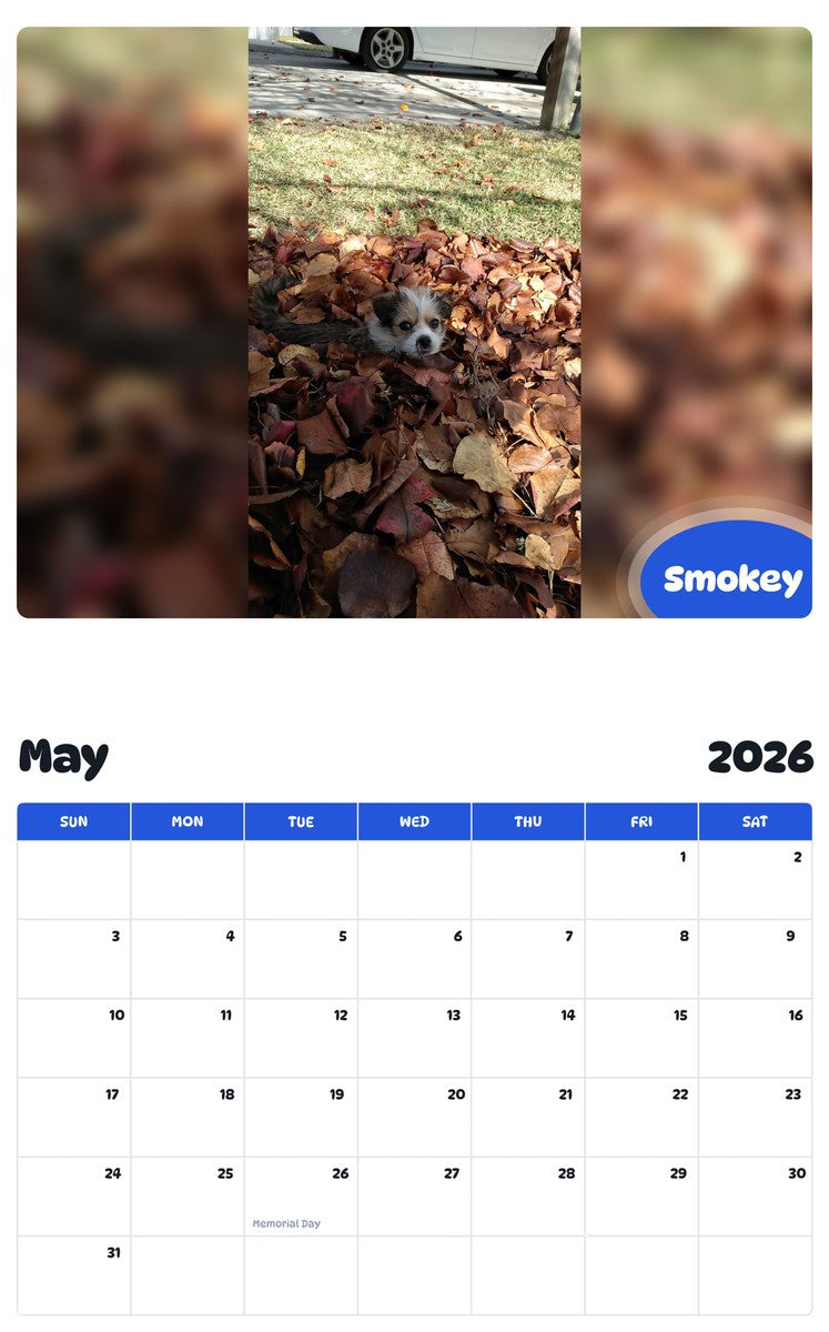 2026 - 2027 Smokey - Pawidols Pet Calendar