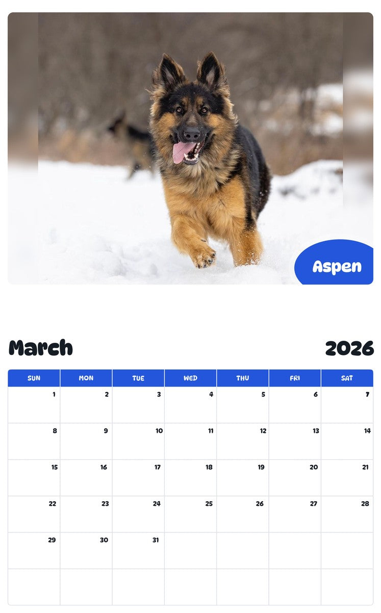 November 2025 - October 2026 Aspen - Pawidols Pet Calendar