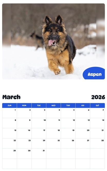 November 2025 - October 2026 Aspen - Pawidols Pet Calendar
