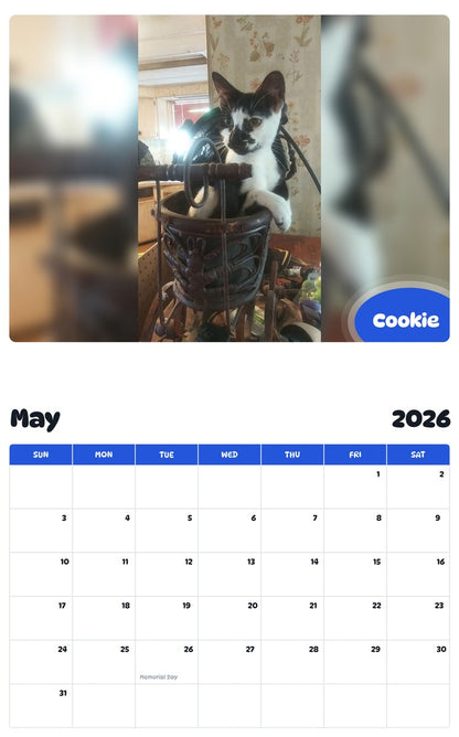 2026 - 2027 Cookie - Pawidols Pet Calendar