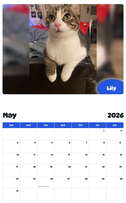2026 - 2027 Lily - Pawidols Pet Calendar