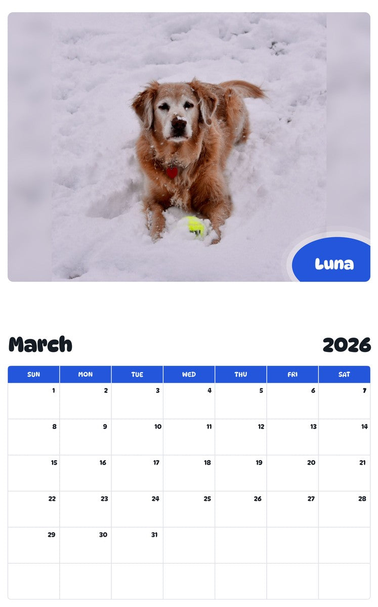 November 2025 - October 2026 Luna - Pawidols Pet Calendar