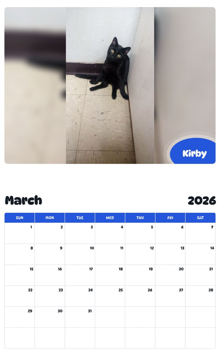 November 2025 - October 2026 Kirby - Pawidols Pet Calendar