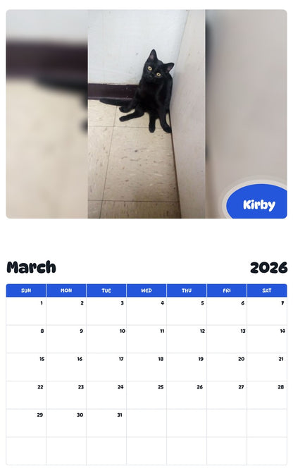 November 2025 - October 2026 Kirby - Pawidols Pet Calendar