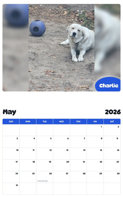 2026 - 2027 Charlie - Pawidols Pet Calendar