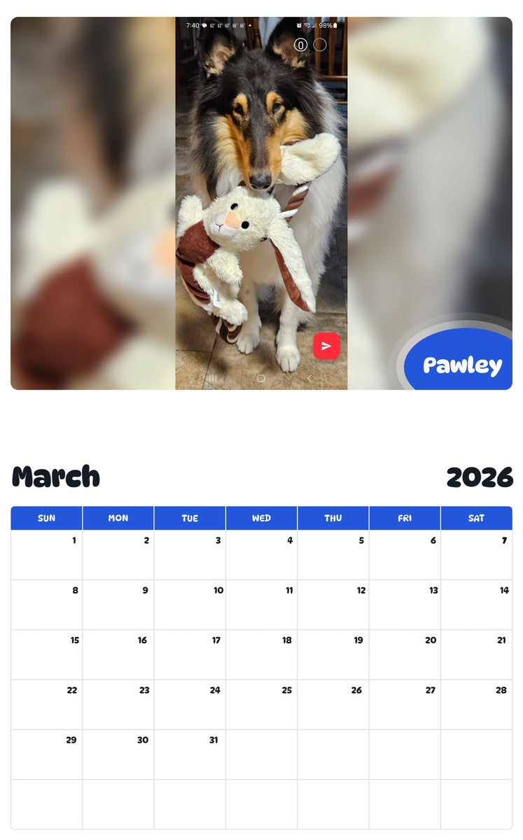 November 2025 - October 2026 Pawley - Pawidols Pet Calendar