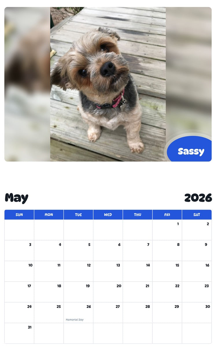 2026 - 2027 Sassy - Pawidols Pet Calendar
