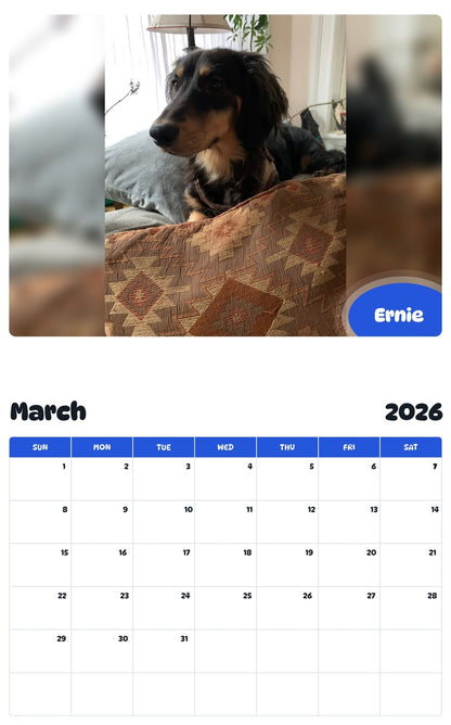 November 2025 - October 2026 Ernie - Pawidols Pet Calendar