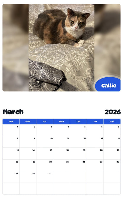 November 2025 - October 2026 Callie - Pawidols Pet Calendar