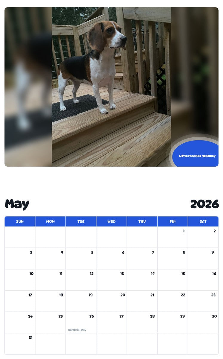 2026 - 2027 Little Freckles McKinney - Pawidols Pet Calendar