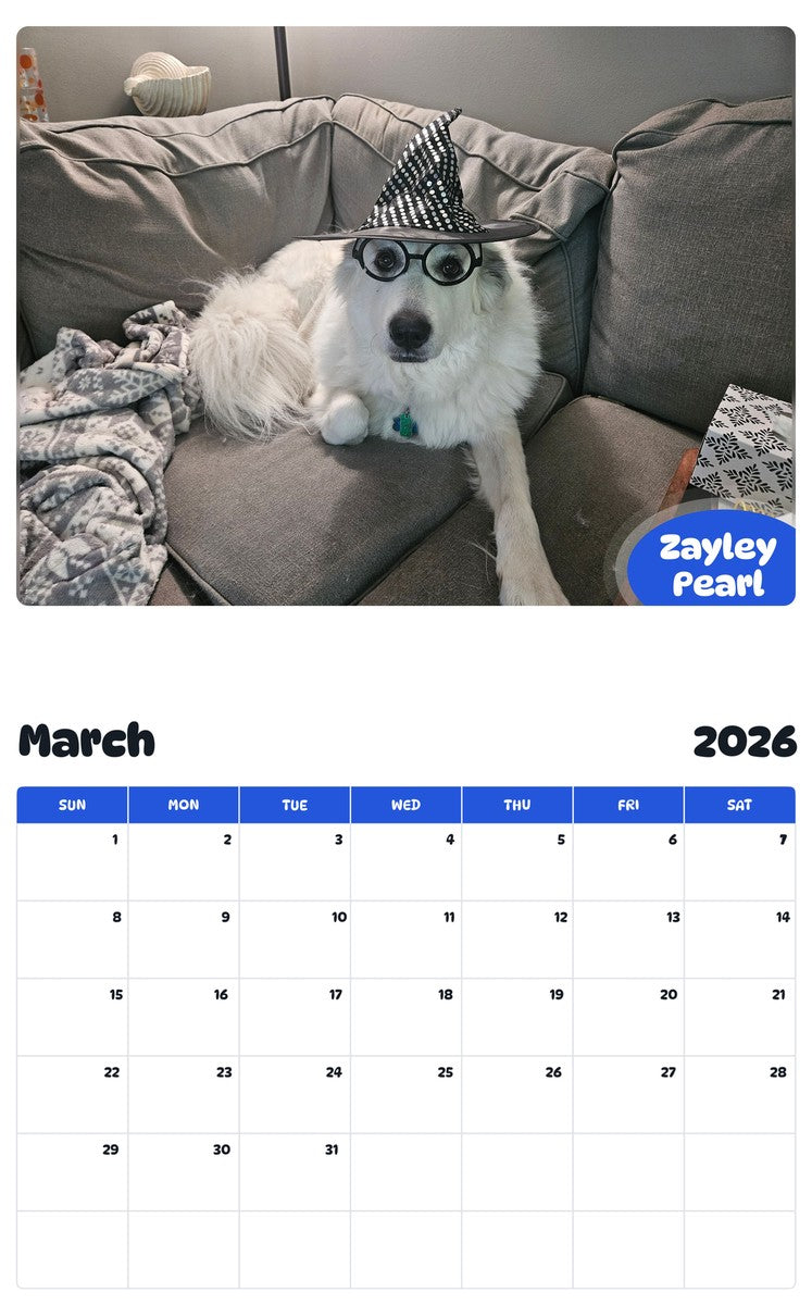 November 2025 - October 2026 Zayley Pearl - Pawidols Pet Calendar