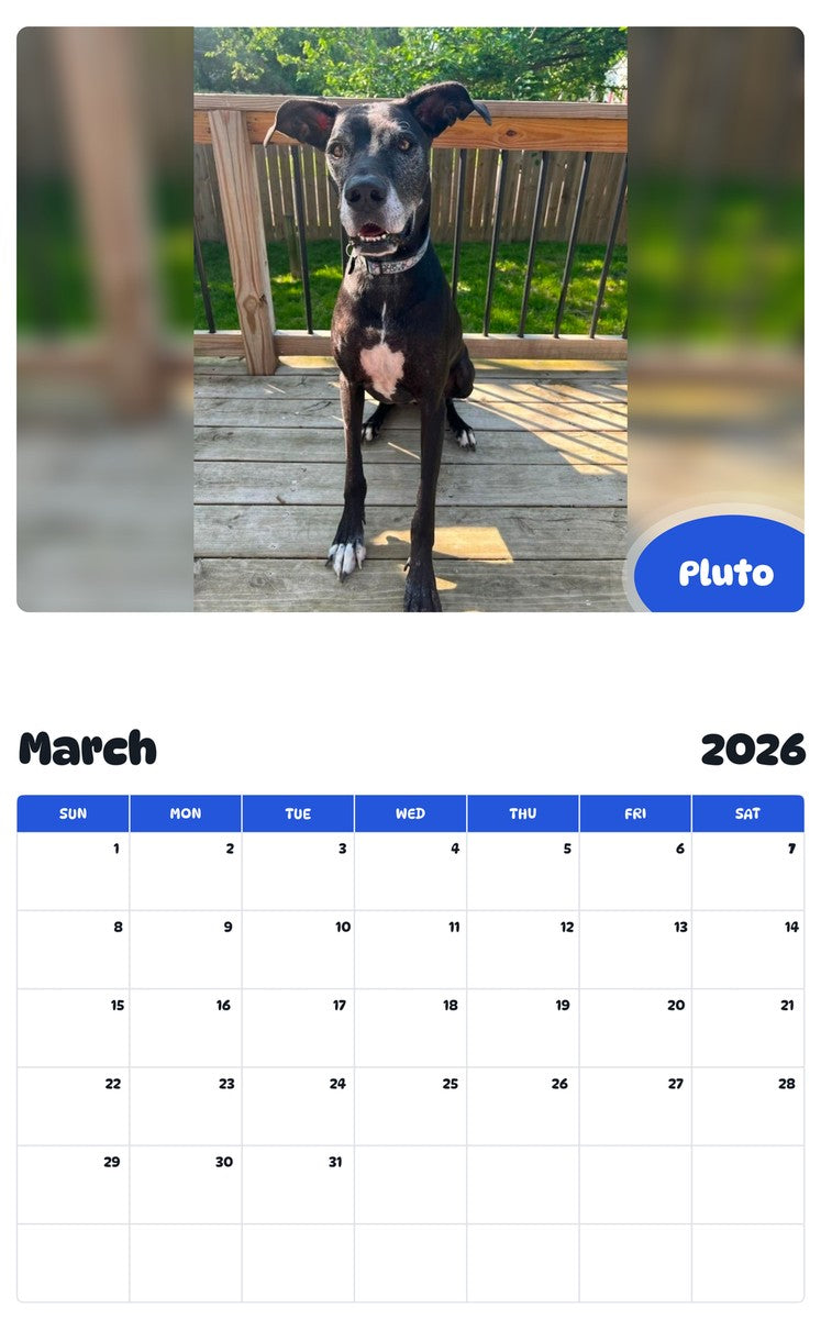 November 2025 - October 2026 Pluto - Pawidols Pet Calendar